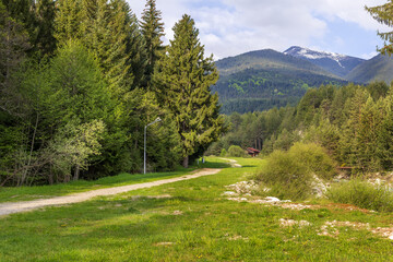 Fototapeta na wymiar Bansko ski road, Bulgaria spring landscape with green trees and Pirin mountains