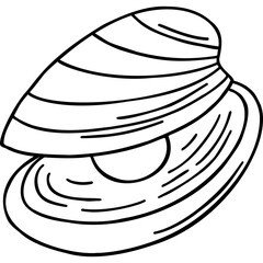 Doodle Seashell With Pearl