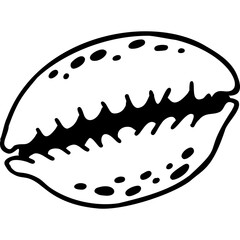 Doodle Seashell