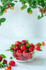 organic acerola cherry in a glass bowl on white marble background.