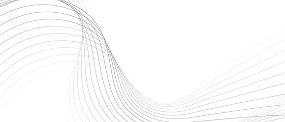 abstract white wave background vector illustration