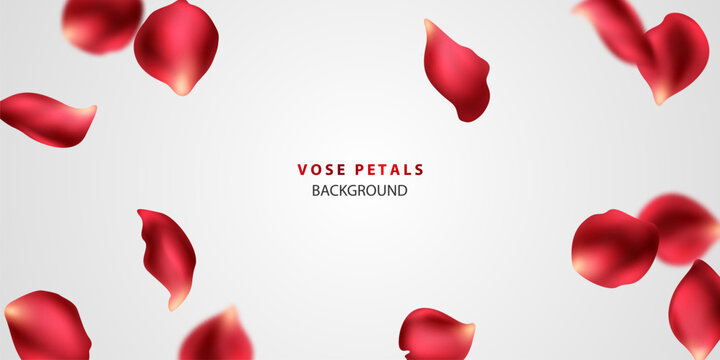 beautiful red rose petals background vector illustration