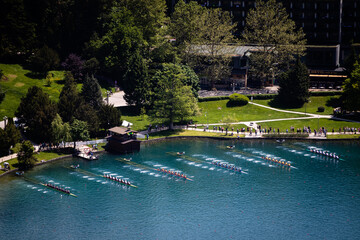 Men's Eight rowing boats rowing on Lake Bled