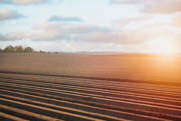 An unplanted field in the morning. Farmland in the country. Soil close-up.