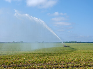Irrigation of agricultural land in Flevoland || Beregenen van landbouwgrond in Flevoland
