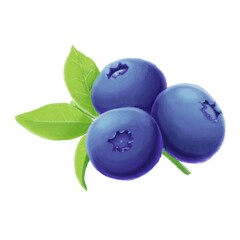 Illustration of a blueberries with leaves