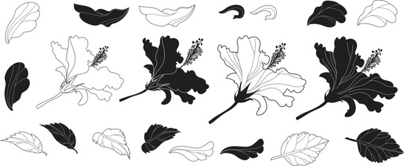 Hibiskus flower flat modern illustration. Vector illustration © Chakraborty
