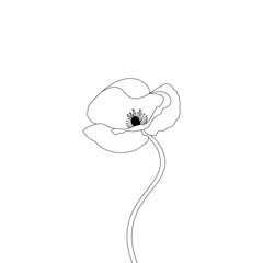 Poppy Flower Coloring page For Kids