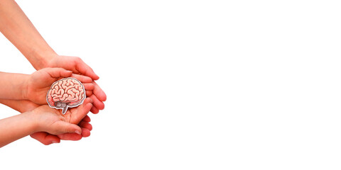 Hands holding paper brain, business concept