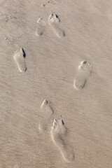 footprints at the beach