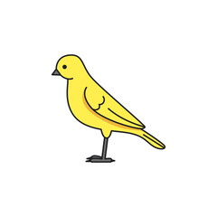 cute canary bird