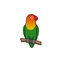 cute lovebird