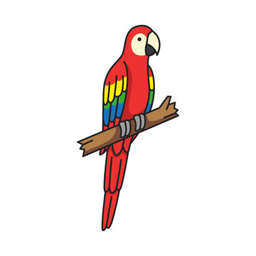 parrot on a branch