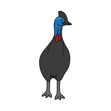recommend clip art: cute cassowary
