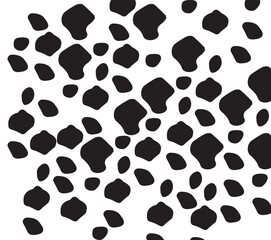 black and white cats