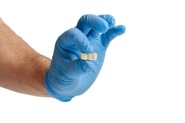 Doctor's hand in blue gloves holds a tooth model on a white background