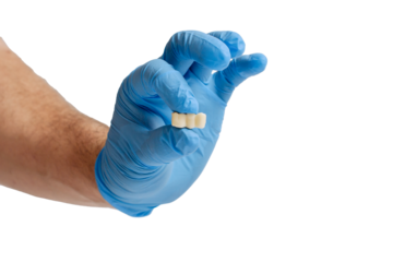 Doctor's hand in blue gloves holds a tooth model on a white background