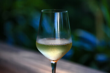 white wine tasting, chilled ice wine in a cold glass in summer