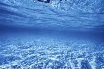 underwater photo blue background panorama ocean surface and bottom of the sea