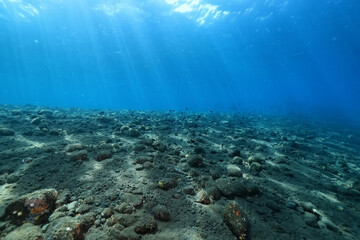 texture ocean floor background underwater surface