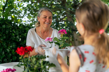 work side by side in the garden, planting and transplanting flowers. Their hands covered in soil, they nurture new life with care and love, creating a blossoming oasis in their backyard.