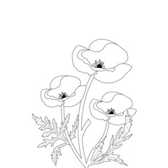 Poppy Flower Coloring page For Adults