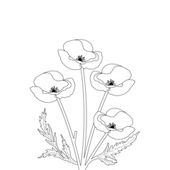 Naklejka premium Poppy Flower Coloring page For Adults
