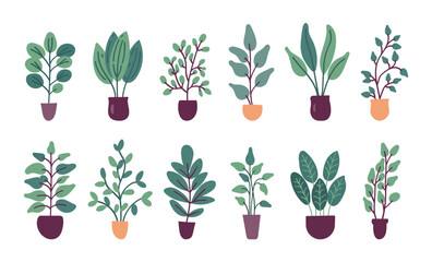 Collection of flat vector trendy potted plants isolated on white background