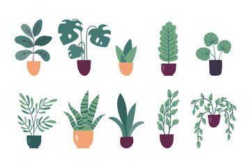 Collection of flat vector trendy potted plants isolated on white background