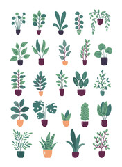 Collection of flat vector trendy potted plants isolated on white background