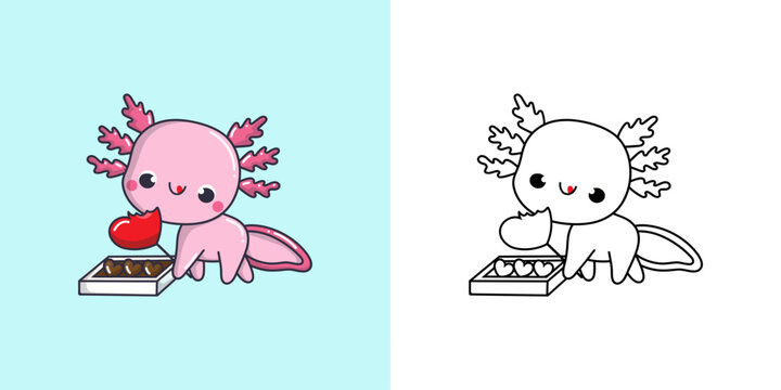 Cute Axolotl Clipart Illustration and Black and White. Funny Salamander Art. Vector Illustration of a Kawaii Animal for Coloring Pages, Stickers, Baby Shower, Prints for Clothes.
