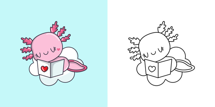 Cute Clipart Axolotl Illustration and For Coloring Page. Cartoon Salamander Illustration. Vector Illustration of a Kawaii Animal for Stickers, Baby Shower, Coloring Pages, Prints for Clothes.
