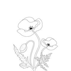 Floral Template With Black Line Art Poppy Flower Coloring Page