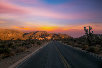 View from road trip with Joshua trees national park at sunset landscape around. California, USA