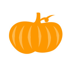 Pumpkin icon vector 