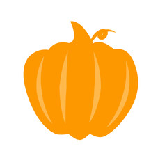 Pumpkin icon vector 