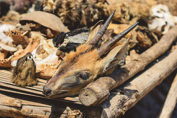 Dried Heads of the Different Animals for the Rituals on Akodessawa Fetish Market, Togo