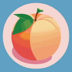 Vector illustartion of fresh and juicy peach