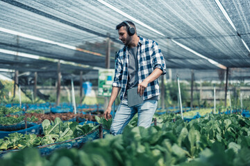Farming worker enhance healthy work-life balance by listening to music and moving body to the beat and rhythm. Designing flexible working schedule, taking breaks to rest, recharge energy and vitality
