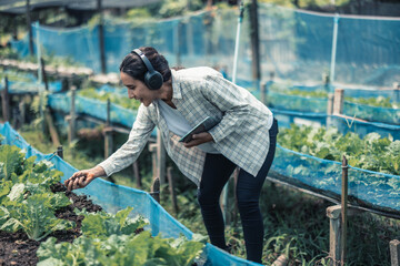 Farming worker enhance healthy work-life balance by listening to music and moving body to the beat and rhythm. Designing flexible working schedule, taking breaks to rest, recharge energy and vitality