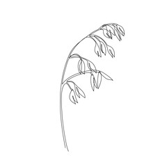 One continuous line drawing of oat grain ear. Single line drawing of ripe ear. Linear sketch of grain of oat, wheat, rice. Silhouette of oat ear. Modern design element for agriculture logo