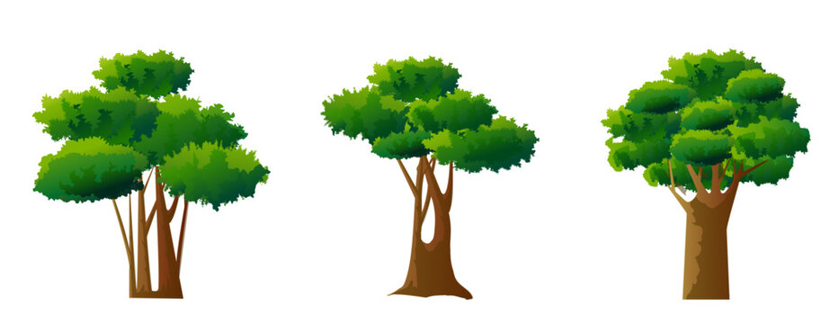 Set of three cartoon trees isolated on white background. Vector illustration.
