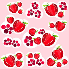 painted stickers with strawberry and berry