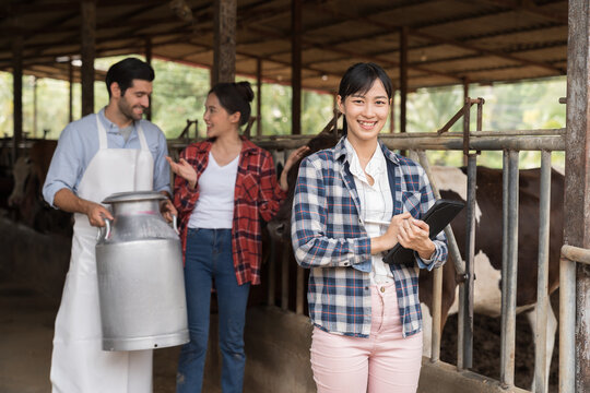 agriculture industry, dairy farming, livestock concept. Portrait of dairy farmer Asian female working in cowshed on dairy farm. Asian female veterinarian working in cowshed on dairy farm