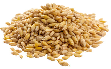 Obraz premium A pile of barley lies. Isolated on a transparent background. KI. 