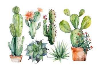 Watercolor set  cacti and  house plants. 