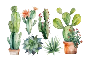 Raamstickers Cactus Watercolor set  cacti and  house plants. 