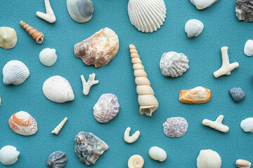 Sea shells pattern. Summery seashells background.