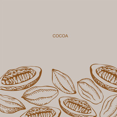 Cocoa set background template. Hand drawn sketch Cocoa beans, and Cocoa tree. Organic product design element for label, banner, poster, emblem, card, logo for café, shop, menu. Illustration