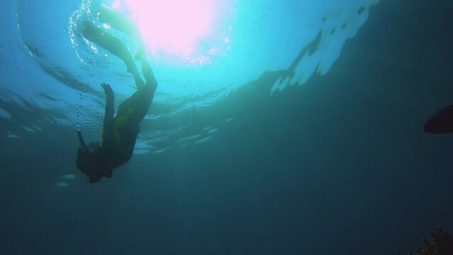 still view bottom to top of a female asian free diver wearing long fins diving down from surface of sea water into the blue ocean within the spot of sunlight and blue Damselfish at foreground day time